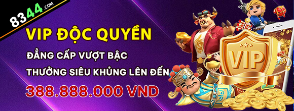 Hình ảnh quảng cáo của q3 hiển thị nền tảng và các lợi ích