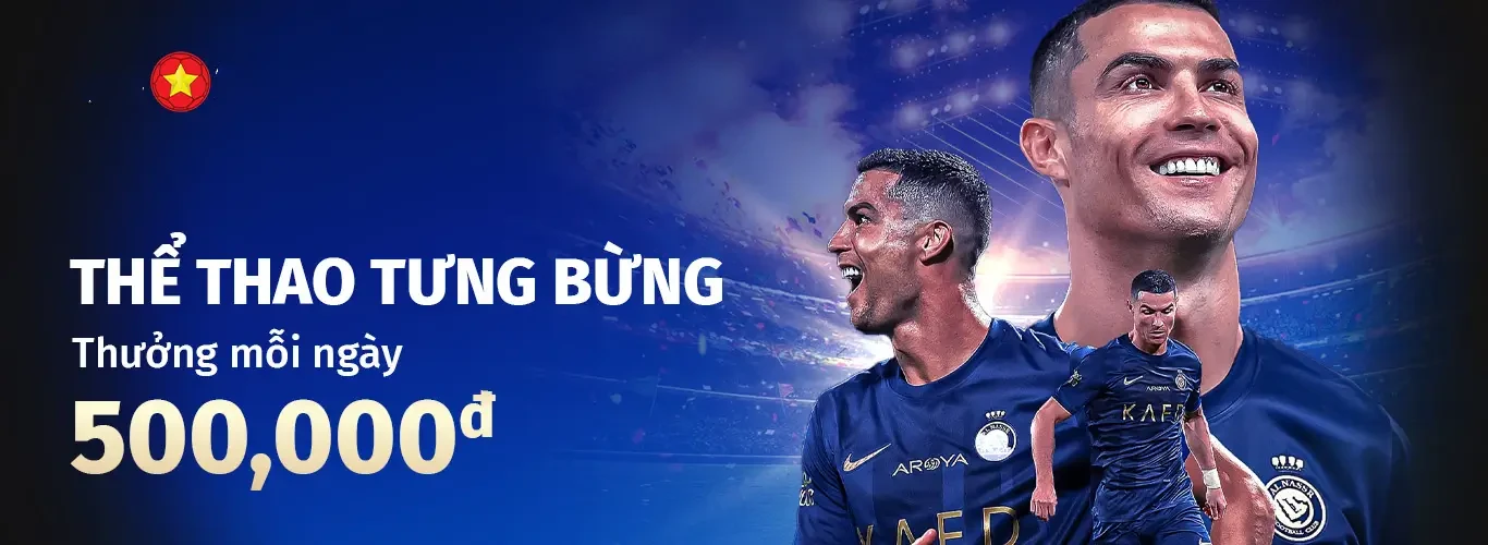 Hình ảnh quảng cáo của q3 hiển thị nền tảng và các lợi ích