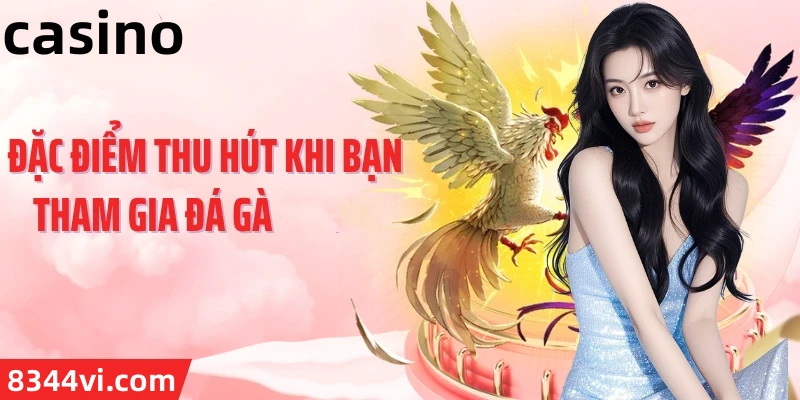 Hình ảnh quảng cáo của q3 hiển thị nền tảng và các lợi ích
