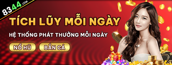 Hình ảnh quảng cáo của q3 hiển thị nền tảng và các lợi ích
