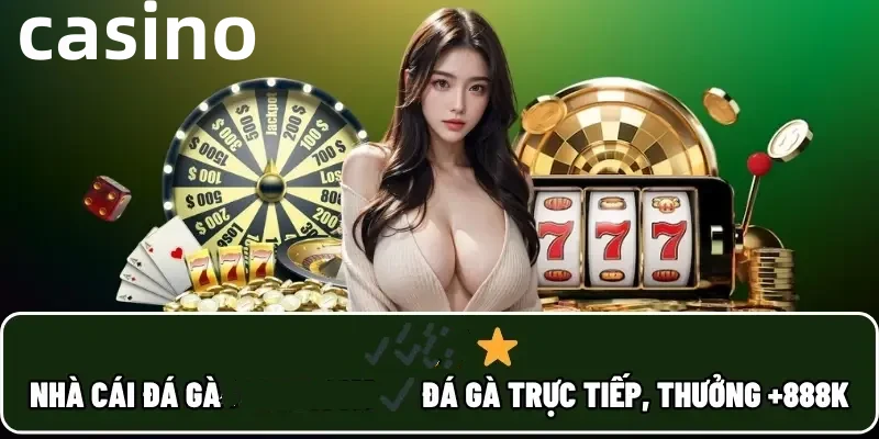 Hình ảnh quảng cáo của q3 hiển thị nền tảng và các lợi ích