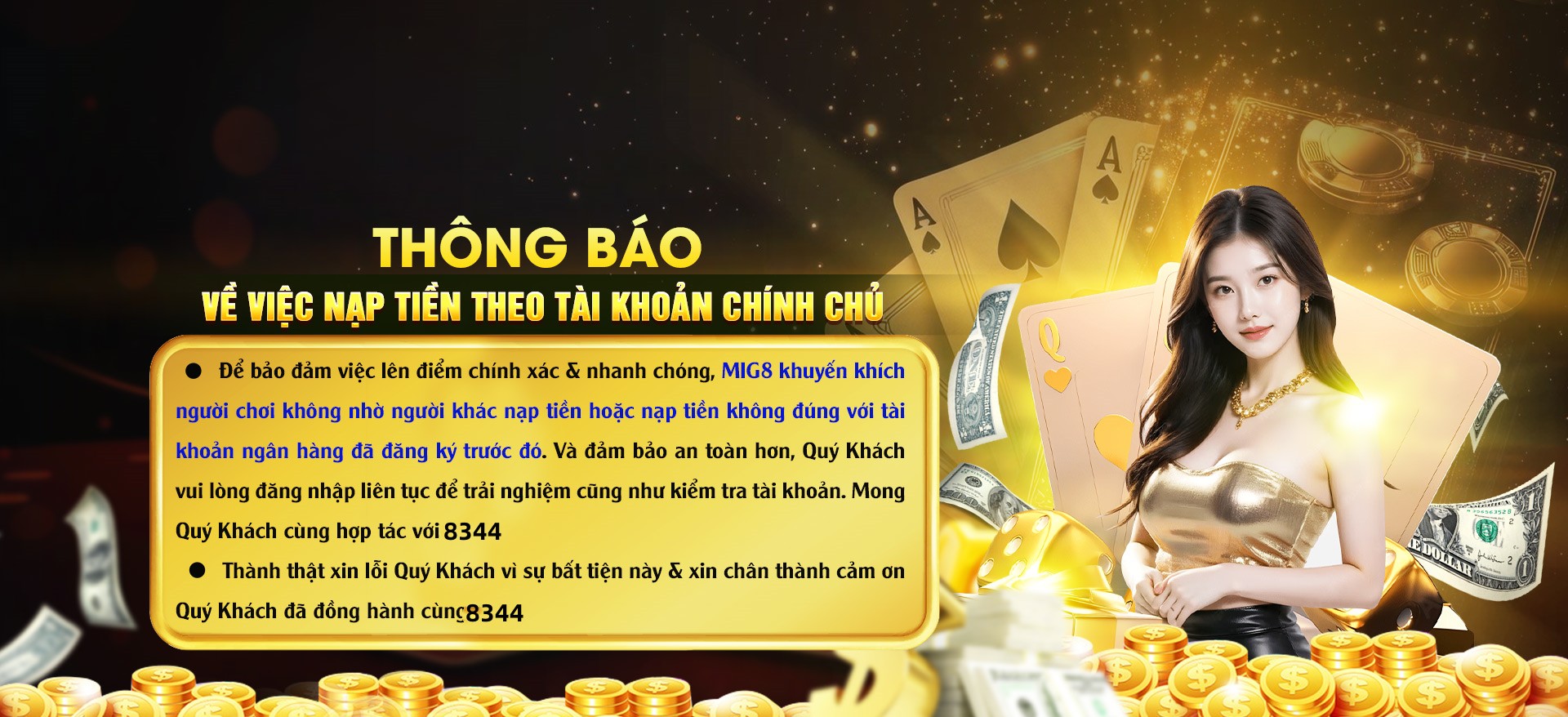 Hình ảnh quảng cáo của q3 hiển thị nền tảng và các lợi ích