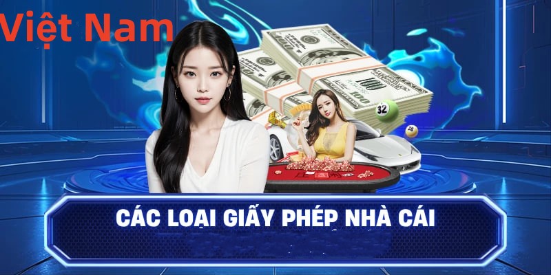 Hình ảnh quảng cáo của q3 hiển thị nền tảng và các lợi ích