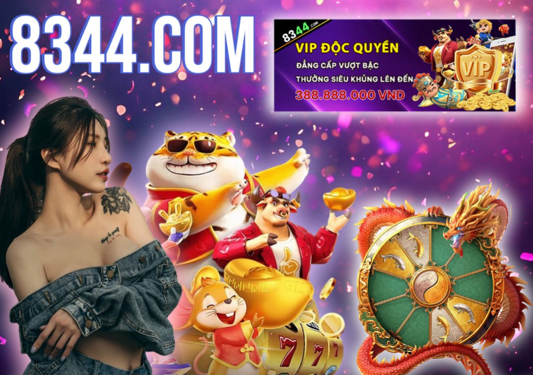 Hình ảnh quảng cáo của q3 hiển thị nền tảng và các lợi ích