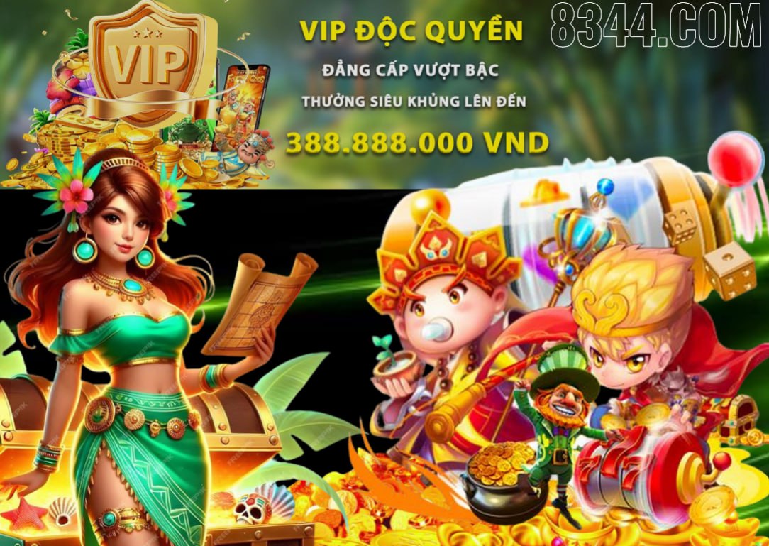Hình ảnh quảng cáo của q3 hiển thị nền tảng và các lợi ích