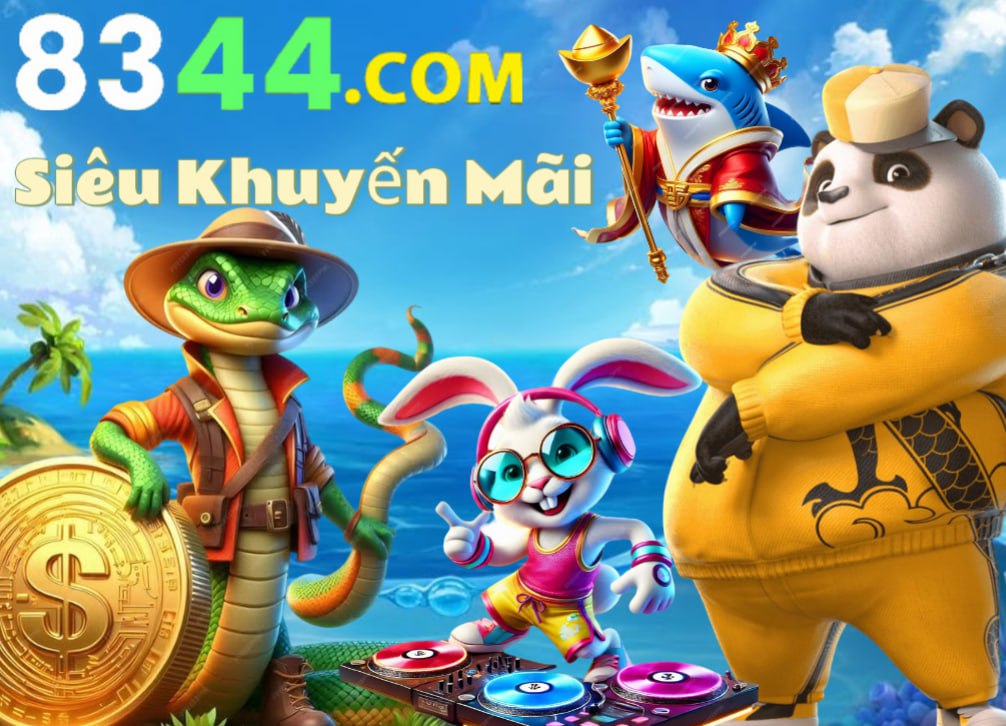 Hình ảnh quảng cáo của q3 hiển thị nền tảng và các lợi ích