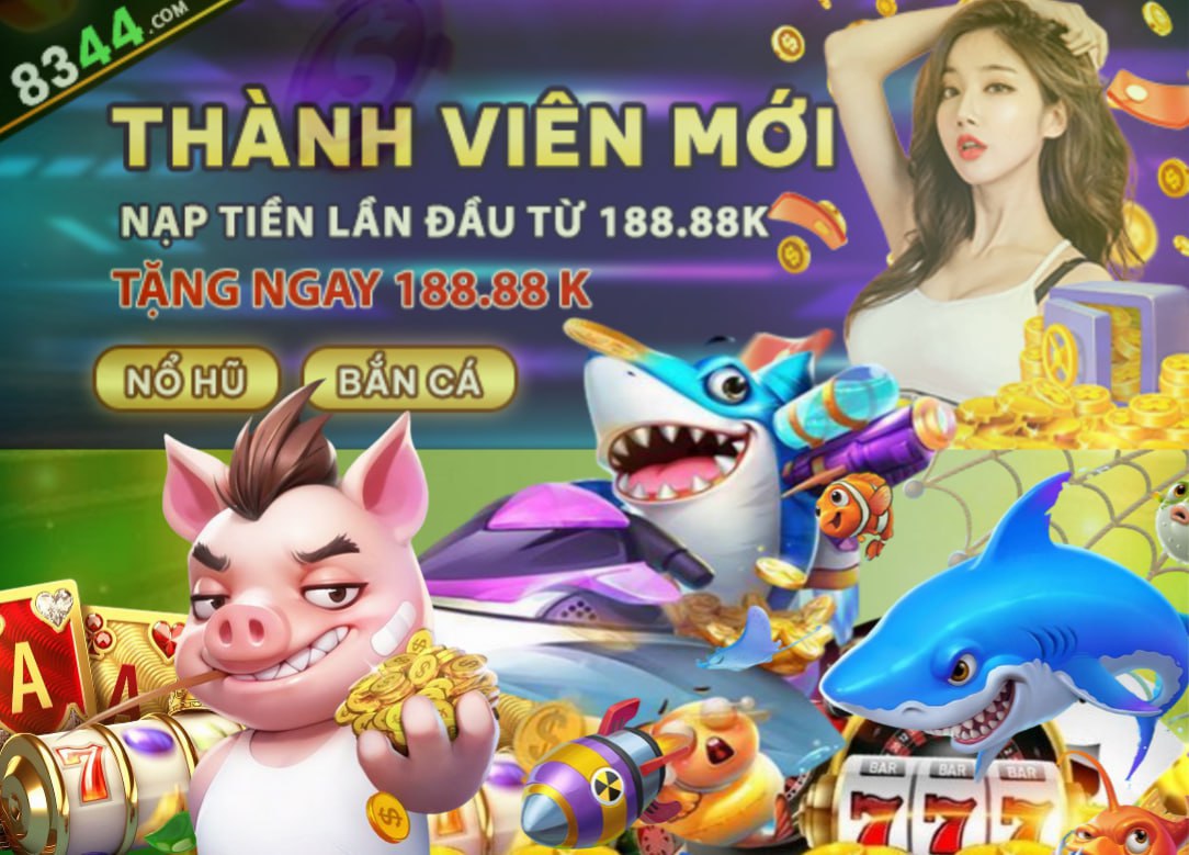 Hình ảnh quảng cáo của q3 hiển thị nền tảng và các lợi ích