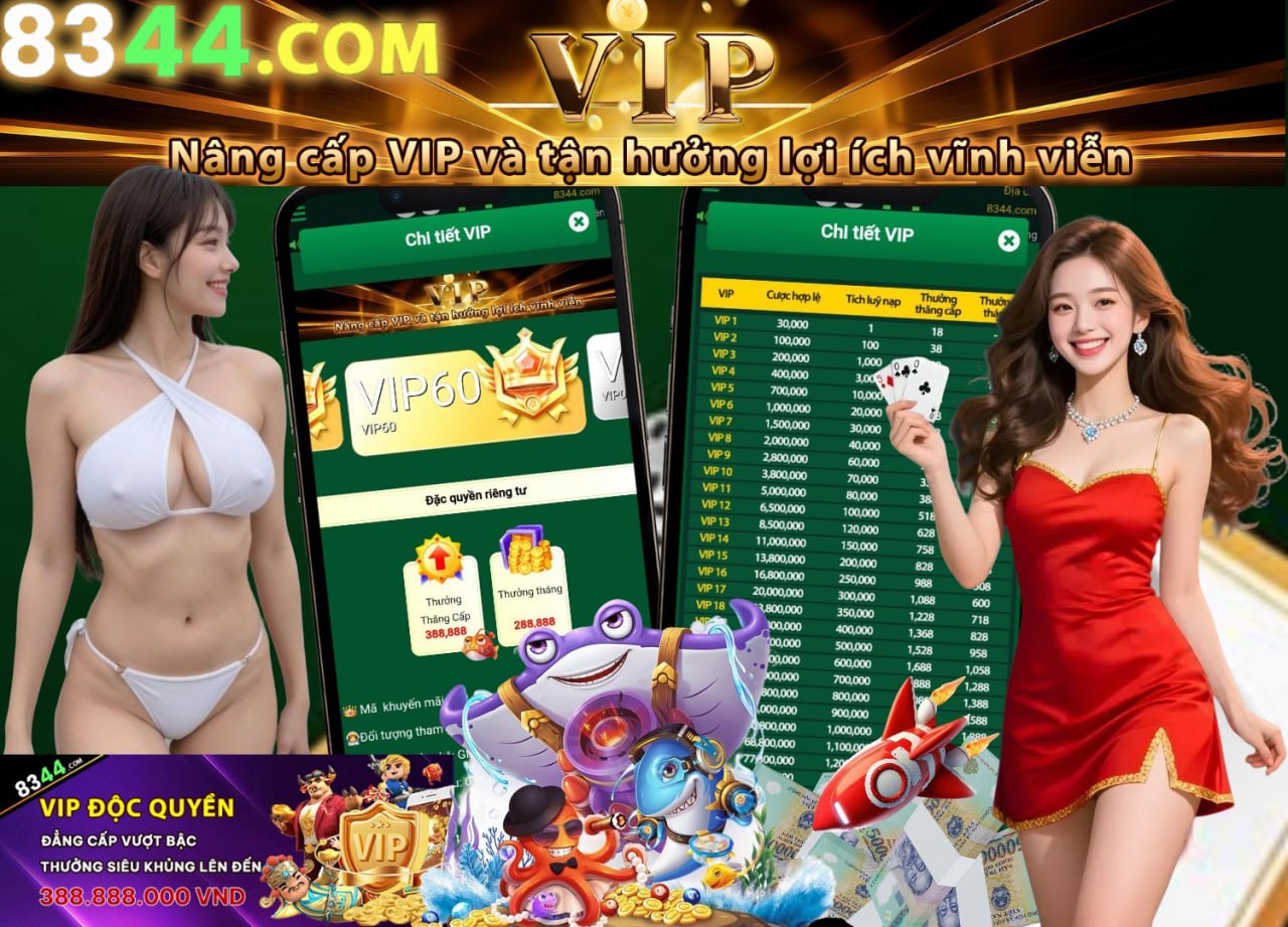 Hình ảnh quảng cáo của q3 hiển thị nền tảng và các lợi ích